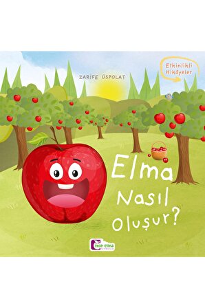 Elma Nasıl Oluşur - Oluşum Hikâyeleri - Okul Öncesi Kitabı