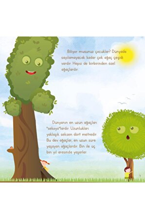 Ağaç Nasıl Oluşur - Oluşum Hikâyeleri - Okul Öncesi Kitabı