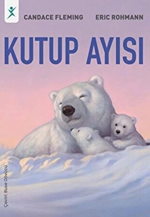 Kutup Ayısı