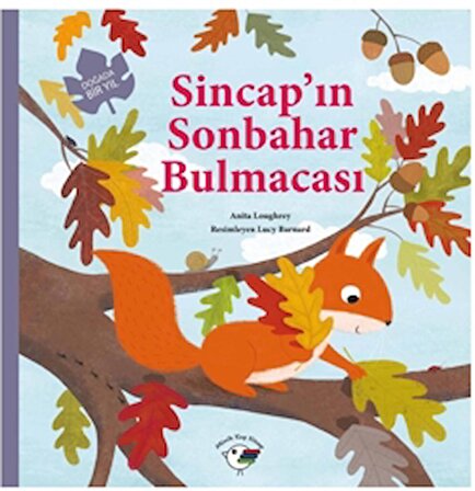 Sincap’ın Sonbahar Bulmacası – Doğada Bir Yıl