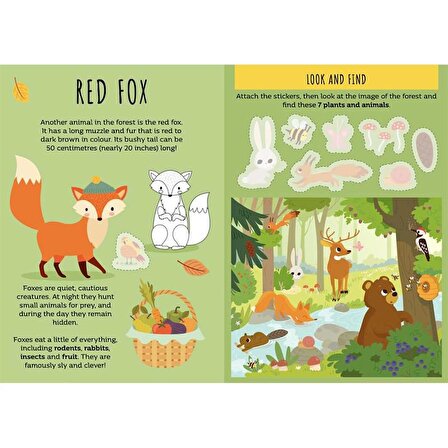 Sassi The Forest - Sticker and Activities