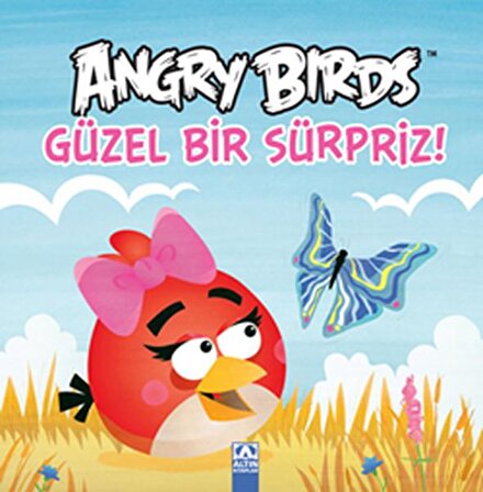 Angry Birds - Güzel Bir Sürpriz!