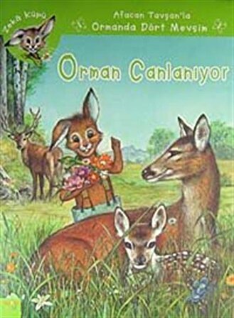 Afacan Tavşanla Ormanda Dört Mevsim Zeka Küpü Seti (4 Kitap) / Jeanne Hiver