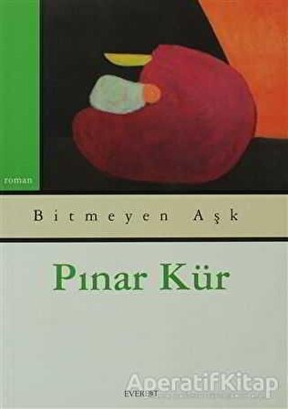 Bitmeyen Aşk - Pınar Kür - Everest Yayınları