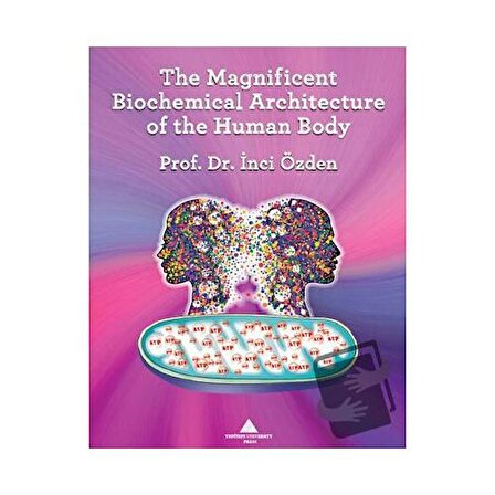 The Magnificent Biochemical Architecture of the Human Body / Yeditepe Üniversitesi
