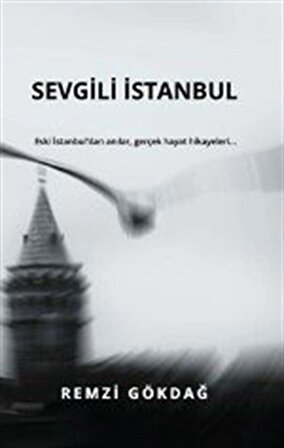 Sevgili İstanbul / Remzi Gökdağ