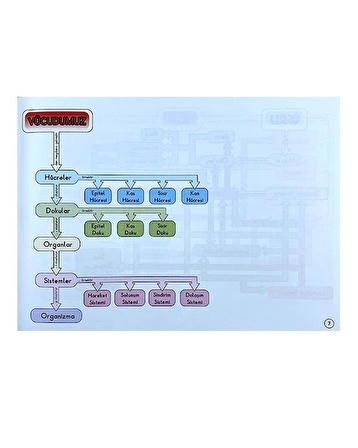 9 Yaş Kavram Atlası Okul Öncesi Yapa Yayınevi