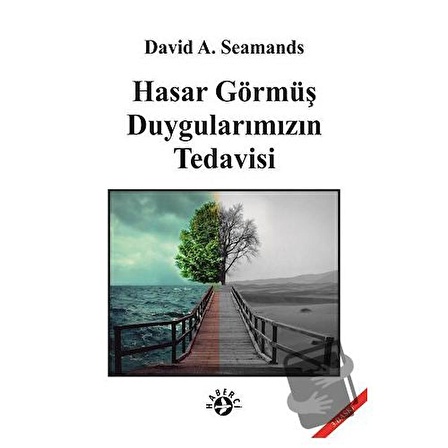 Hasar Görmüş Duygularımızın Tedavisi / Haberci Basın Yayın / David A. Seamands