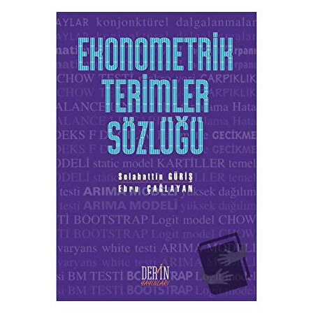 Ekonometrik Terimler Sözlüğü / Derin Yayınları / Ebru Çağlayan Akay,Selahattin