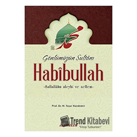 Gönlümüzün Sultanı Habibullah (s.a.s.) / Prof. Dr. Mehmet Yaşar Kandemir