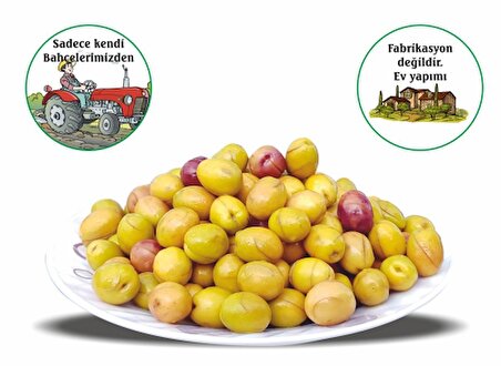 Ev Yapımı Çizme Yeşil Zeytin Edremit Tipi 1 Kg.