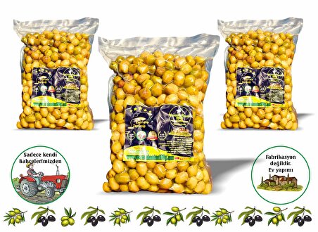 Taş Kırma Yeşil Zeytin Edremit Tipi 3x1 Kg