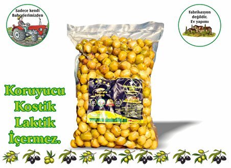 Taş Kırma Yeşil Zeytin Edremit Tipi 3x1 Kg