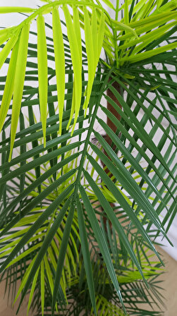 Areka Yapay Ağaç, 6 Gövde 6 Baş, 185 cm, Bambu Gövde, Metal Saksılı
