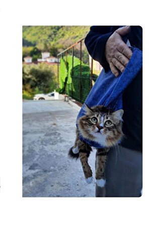 Kedi Yürütme Çantası - Kedi Taşıma Çantası - Evcil Hayvan Gezdirme Çantası