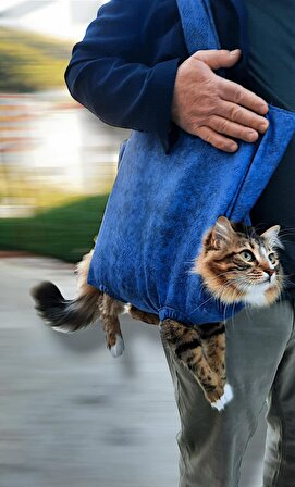 Kedi Yürütme Çantası - Kedi Taşıma Çantası - Evcil Hayvan Gezdirme Çantası