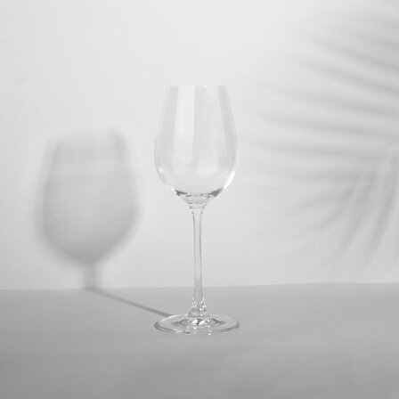 Ocuisine Columba Beyaz Şarap Kadehi 6’lı 400 Ml