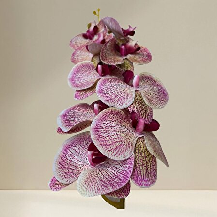 Yapay Orkide 85 Cm Fuşya Beyaz, Bakım Gerektirmeyen Gerçek Görünümlü Orkide