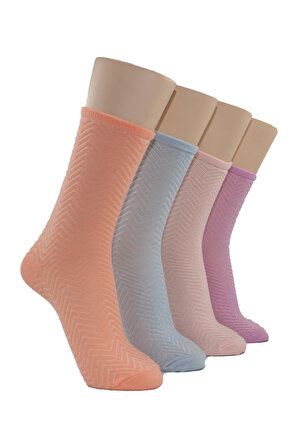 Bayan Patik Çorap 4 Renk Macaron 4 Lü Set