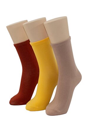 Bayan Soket Çorap 3 Lü 3 Renk Sarı Kremit Açık Kahve