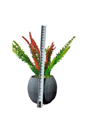 Kırmızı , Yeşil Lavanta Demeti Saksıda Yapay Çiçek Taş Yosunlu Mini Saksı Aranjman 25 Cm