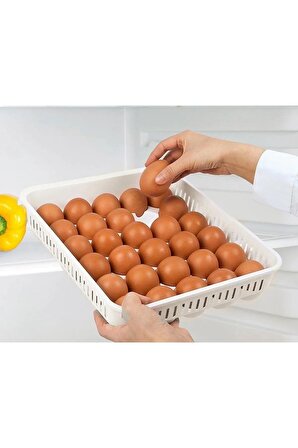 Yumurta Saklama Kabı 30'lu Şeffaf Kapaklı Yumurta Kabı 30 Gözlü Mrd461