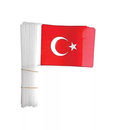Vatan Kağıt Bayrak Türk Çıtalı 80 Li Vt801