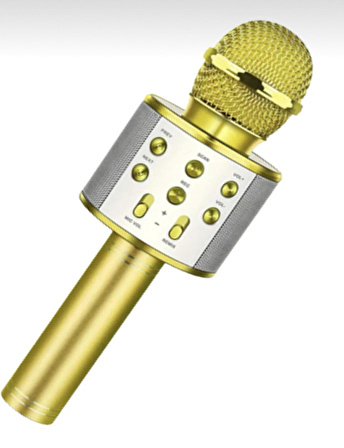 WS-858 KARAOKE MİKROFON (GOLD)