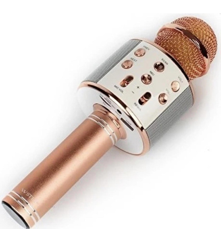 WS-858 KARAOKE MİKROFON (ROSE GOLD)