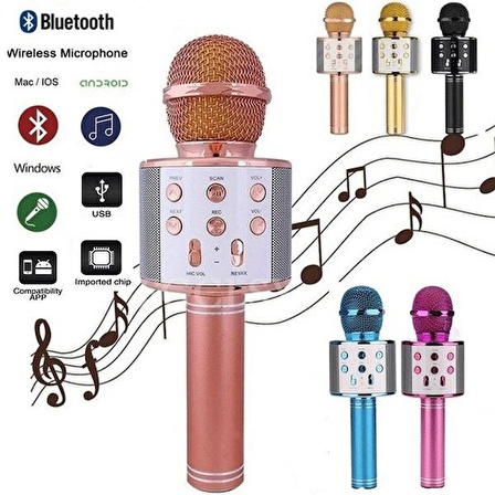 WS-858 KARAOKE MİKROFON (PEMBE)