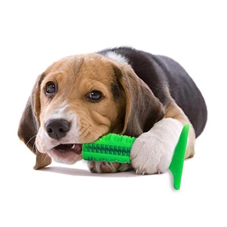 NL - Köpek Diş Temizleyici Oyuncak - Isırma Aparatı Çubuk 15 Cm