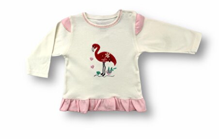 3-6 6-9 9-12 Ay Flamingo Nakışlı Uzun Kollu Sweatli 2li Kız Bebek Takımı