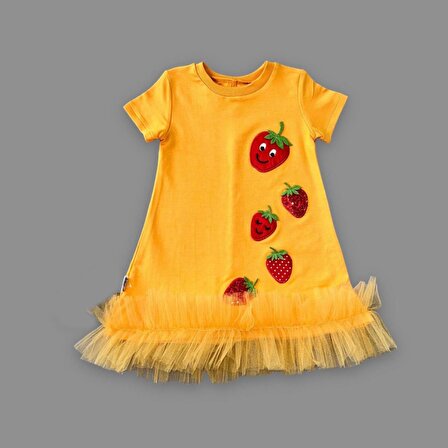 1-2-3 Yaş Payetli Çilekler Nakışlı Eteği Fırfırlı Jile Kız Çocuk Elbisesi