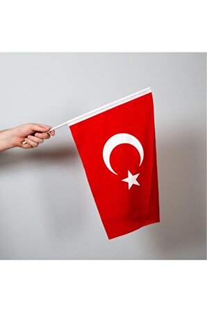 Türk Bayrağı 20x30 Cm Alpaka Kumaş Sopalı 10 Adet