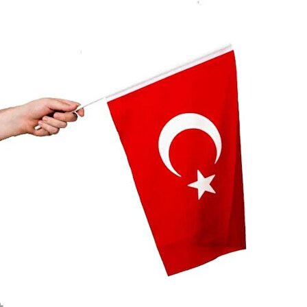 Sopalı Türk Bayrağı 40x60 cm Raşel Kumaş