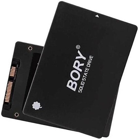 BORY 256 GB SSD SATA-3  550/500 
