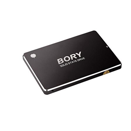 Bory Sata 3.0 256 GB SSD
