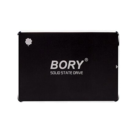 Bory Sata 3.0 256 GB SSD