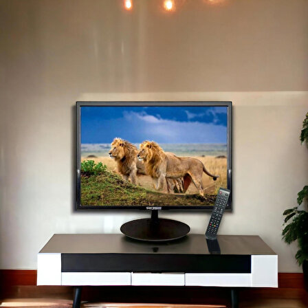 Rose 19"inch 49 Ekran HD LCD Çok Amaçlı Monitör Tv Dahili Hoparlör + Kumanda