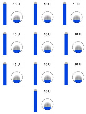 18 Pin U Mavi Microblading İğnesi 10'Lu Set