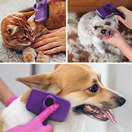 BUFFER® Otomatik Temizlenebilen Tuşlu Pratik Kedi Köpek Tüy Toplama Fırçası