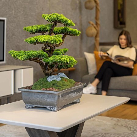 Atlas Bonsai-7 Masaüstü Kullanıma Uygun Doğal Ağaç Gövdeli Yapay Bonsai Ağacı - 50x60 Cm