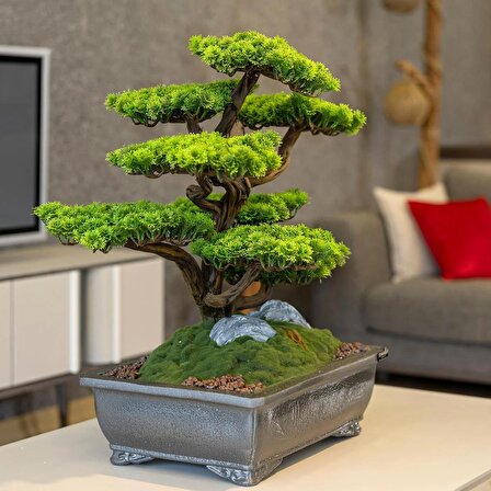 Atlas Bonsai-7 Masaüstü Kullanıma Uygun Doğal Ağaç Gövdeli Yapay Bonsai Ağacı - 50x60 Cm