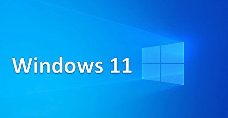 MS Windows 11 Pro FQC-10556 64BIT TR (OEM)