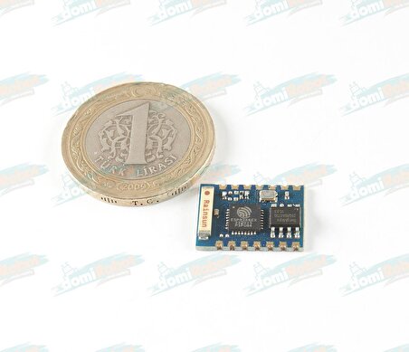 ESP8266-03 Dahili Antenli Wifi Serial Transceiver Module (SMD) Standart