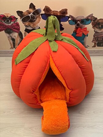 Mady Aksesuar Özel Tasarım Portakal Kedi-Köpek Yatağı Yuva 55 cm 