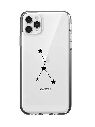 iPhone 11 Pro  Yengeç Yıldız Desenli Şeffaf Telefon Kılıfı