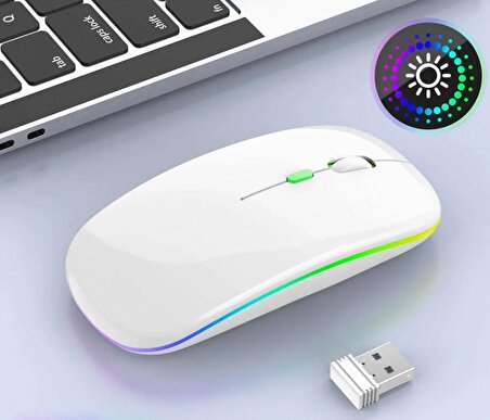 QASUL 2.4GHz Kablosuz Çalışma Fare USB Şarj Edilebilir LED lamba RGB Fare Sessiz Ergonomik Dilsiz Fare Aydınlatmalı Dizüstü PC Ipad