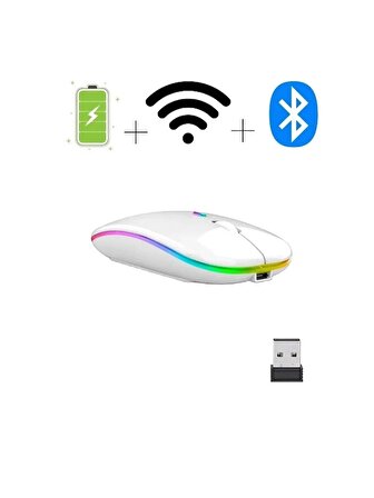 QASUL 2.4GHz Kablosuz Çalışma Fare USB Şarj Edilebilir LED lamba RGB Fare Sessiz Ergonomik Dilsiz Fare Aydınlatmalı Dizüstü PC Ipad