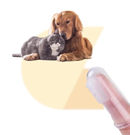 Parmağa Takılan Hayvan Diş Kaşıma Fırçası 3 Adet (Özel Kutusu ile Birlikte)